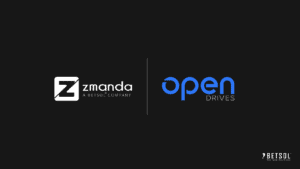 Zmanda OpenDrives partnership